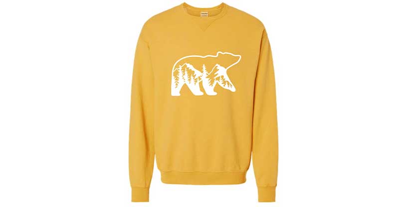 bear-sweatshirt