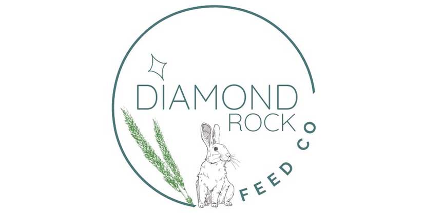 diamond-rock-logo