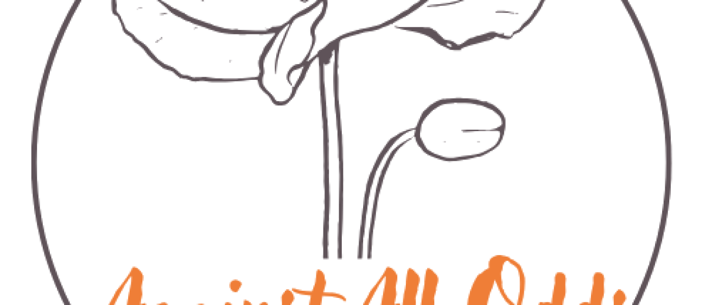 Logo-transparent