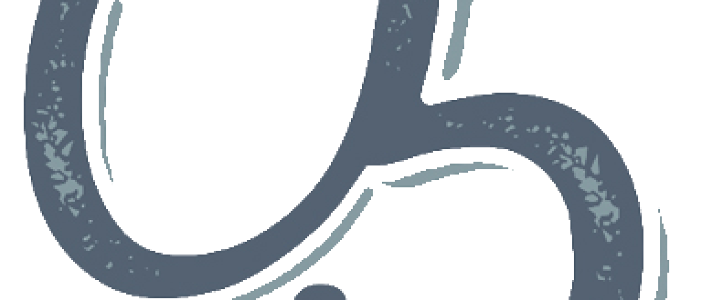 c5logo